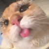 syabrinaquincy5