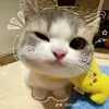 minhanhmuzikk