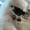 mimimamamy0