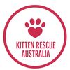 Kitten Rescue Australia Inc