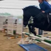 kaitlynpark17
