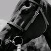 guler.abdulla