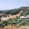 sidahmedbenyamina