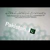 pakistani8687