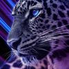 مسافر970