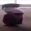 3zrq3