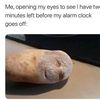 potatoman3247