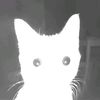 scarytxn
