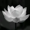 thanh.tm6085