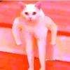 diseaseuponmemes
