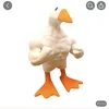 goosewoose