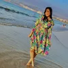 sher_efi08