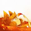 jayisnot0nfire