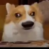 hiuptrn
