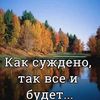 31339645129