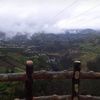 luzaydarosero