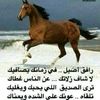 user163143084