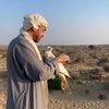 7madsaeed