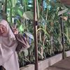 allonis_
