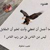 b_mohamed7