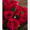 noor31khan