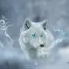 casscaasswhite
