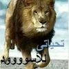 user20490253