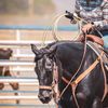 cowgirlkl13