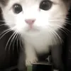 uuutuuuutu