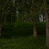 leonie_c2