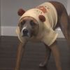 raotonglodnamnakyeesibkg