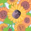 emilysydes_97