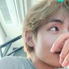 scy.kimtae