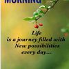 holly_m_pen