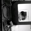 _jazkx