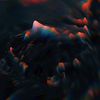 vexal0