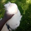 keenlistener