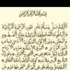 yarezaryaz