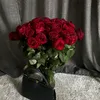 aliasejtanidu