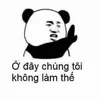 khongcogidauma4