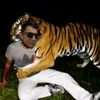 dimicdaniel