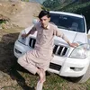 shehzadjane8687