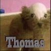 thomasj0nes