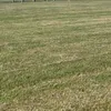 greengrasscrass
