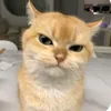 dknhu