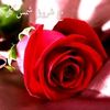 user428178675