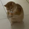 jeejathx_oo6