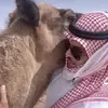 a7medsf6