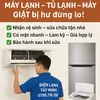 dienlanhtayninh1