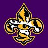 lsuandsaintsdiehardfan